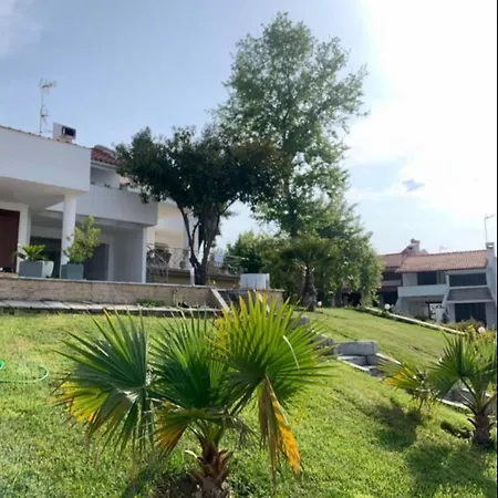 Nikogroup * Chaniotis
